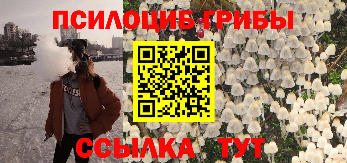 COCAIN Заводоуковск