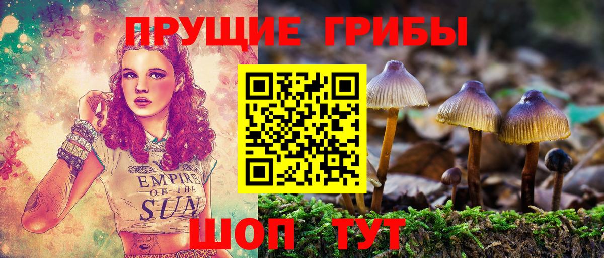 Псилоцибиновые грибы MAGIC MUSHROOMS Заводоуковск