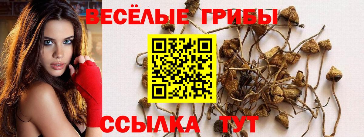 Заводоуковск  Псилоцибиновые грибы GOLDEN TEACHER  Вход с VPN 